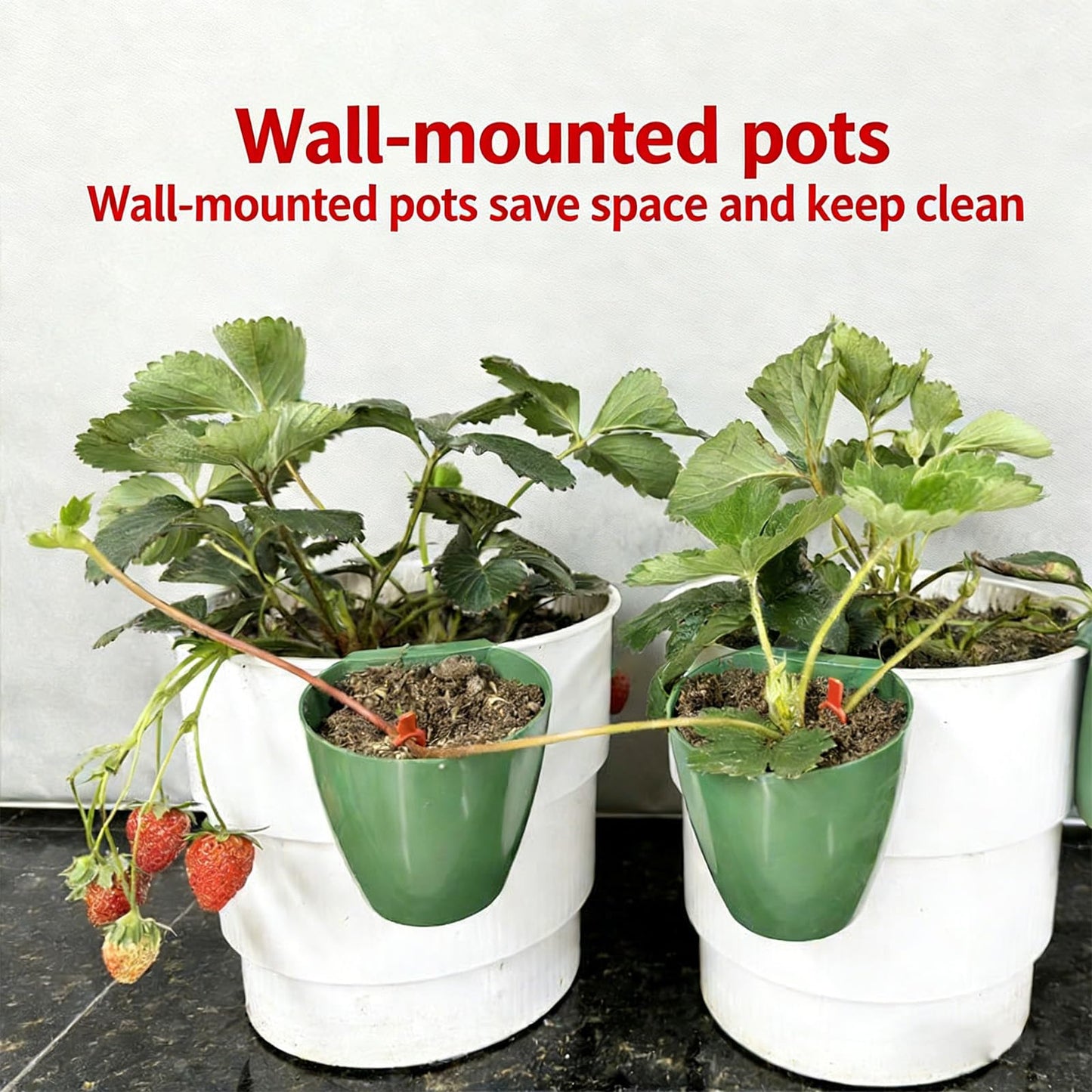 Kangnice Garden Trays Tool for Strawberry Runners Featuring Breathable Cups and Runner Forks to Enhancing Survival Rate and Growth Drainage Planting Cups
