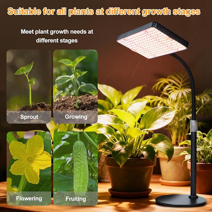 2026 Table Top Grow Light for Seedlings, Bonsai, Vegetable, Bright Natural Sunlight Full Spectrum, 4/8/12/16/20H Timer, 25 Watt Power, NO Need Adapter, 16"-24" Height Adjustable