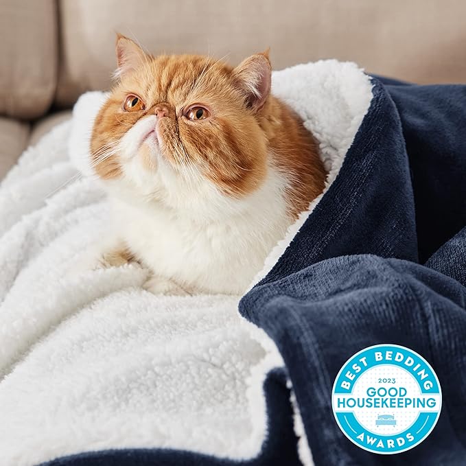 Bedsure GentleSoft Sherpa Fleece Blankets Queen Size for Bed - Thick and Warm Throw for Women and Men, Soft Fuzzy Plush Queen Blanket for Winter, Non-Heated, Navy, 90x90 Inches