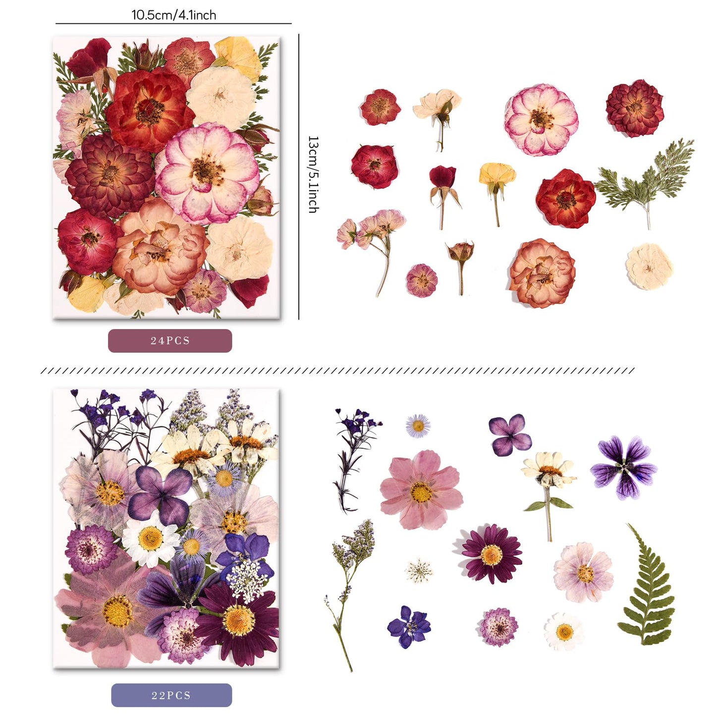 nisetten 6 Pack 150PCS Real Pressed Dried Flowers Dry Leaves Craft Kit - Natural Dried Flowers for DIY Crafts, Resin Jewelry, Cards, Soap, CandleMaking, Nail Art, and Scrapbooking (Colorful)