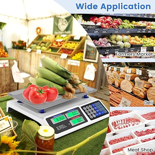 Goplus 66lb Price Computing Scale, Commercial Food Scale with Dual LCD Displays, Rechargeable Battery, Stainless Steel Platform, Price Calculation for Farmers Market, Deli, Meat Shop (Not for Trade)