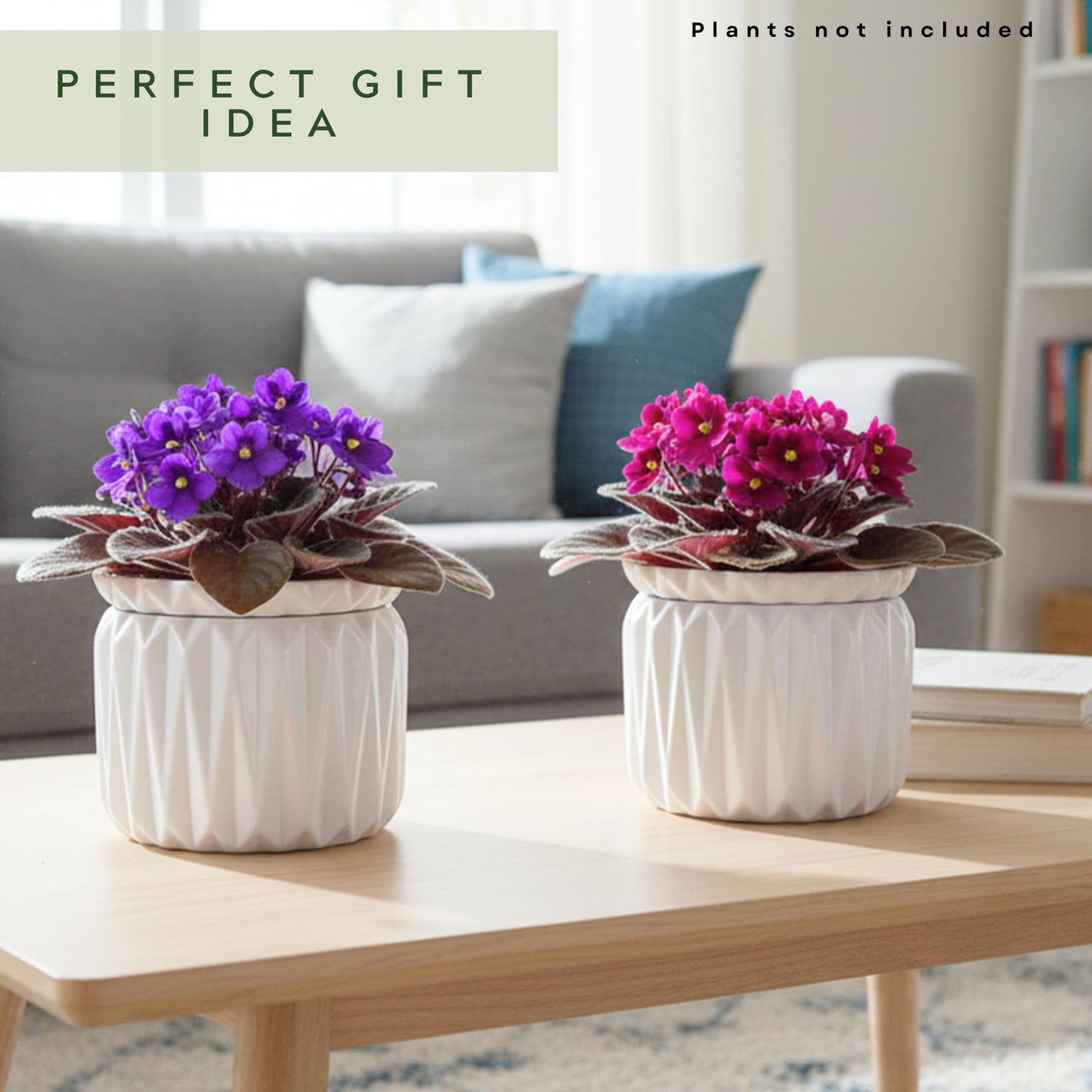 Thriving Thicket 6 Inch African Violet Pots Self Watering, Ceramic Planter with Water Reservoir and Fill Lines, 4 Inch Opening, Indoor Flower Pot, Holds 3 Weeks of Water (2 Pack White)