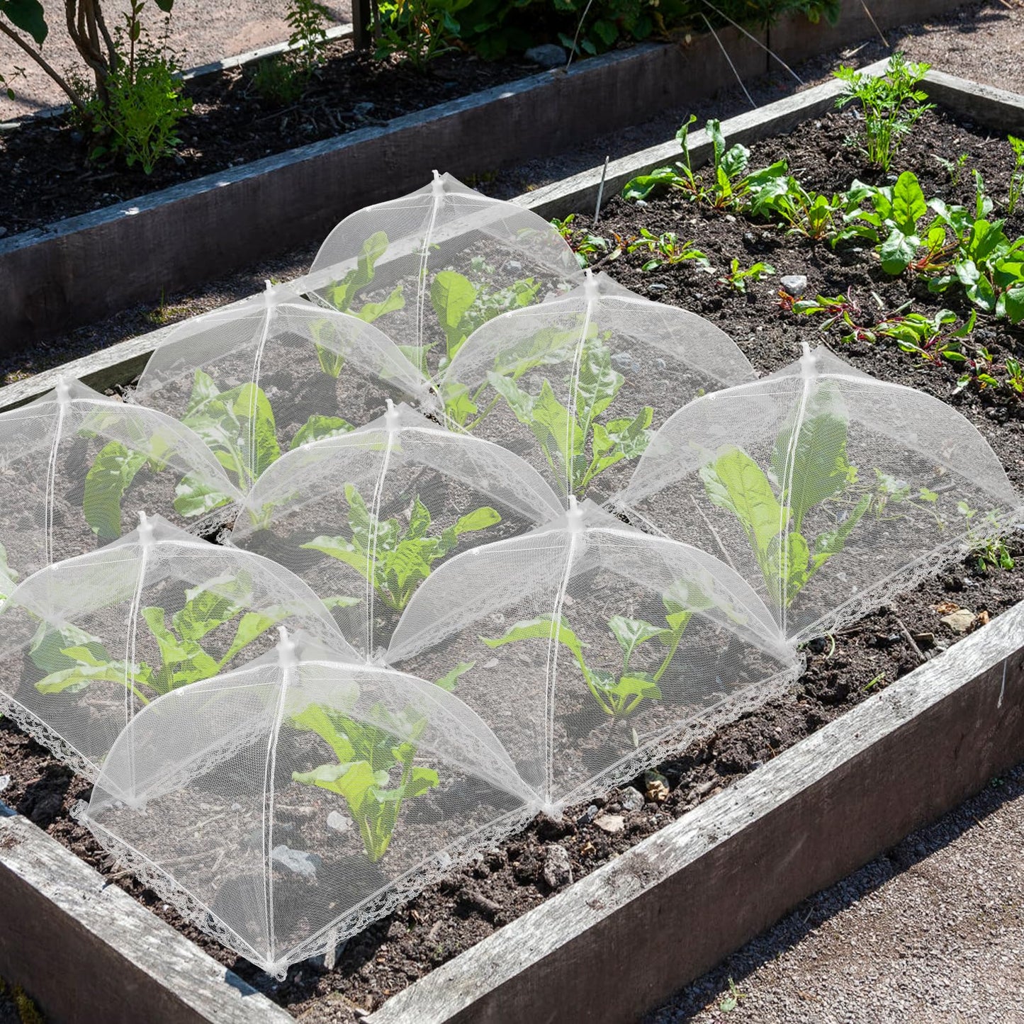 6 Sets Strawberry Plant Supports with Mesh Plant Cover,Strawberry Growing Racks with Metal Plant Nails and Storage bag for Strawberry Vegetables，Used to protect strawberries and keep them clean