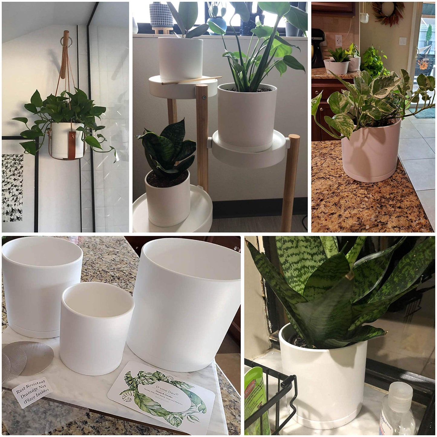 D'vine Dev 4 Inch 5 Inch 6 Inch, Set of 3 Plastic Planter Pots for Plants with Drainage Hole and Seamless Saucers, White Color, Small, 74-V-A-1