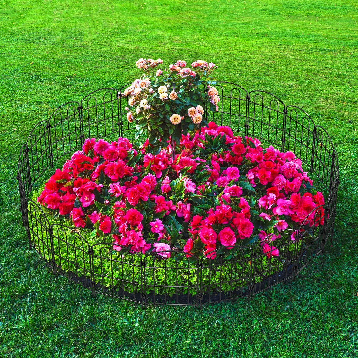 CADUKE 28 Pack Garden Fence Border, 24in(H) x 30ft(L) Metal Garden Fence, Rustproof No Dig Landscape Fence Panels, Arched Wire Flower Bed Fence, Animal Barrier for Dog Rabbit Yard Patio