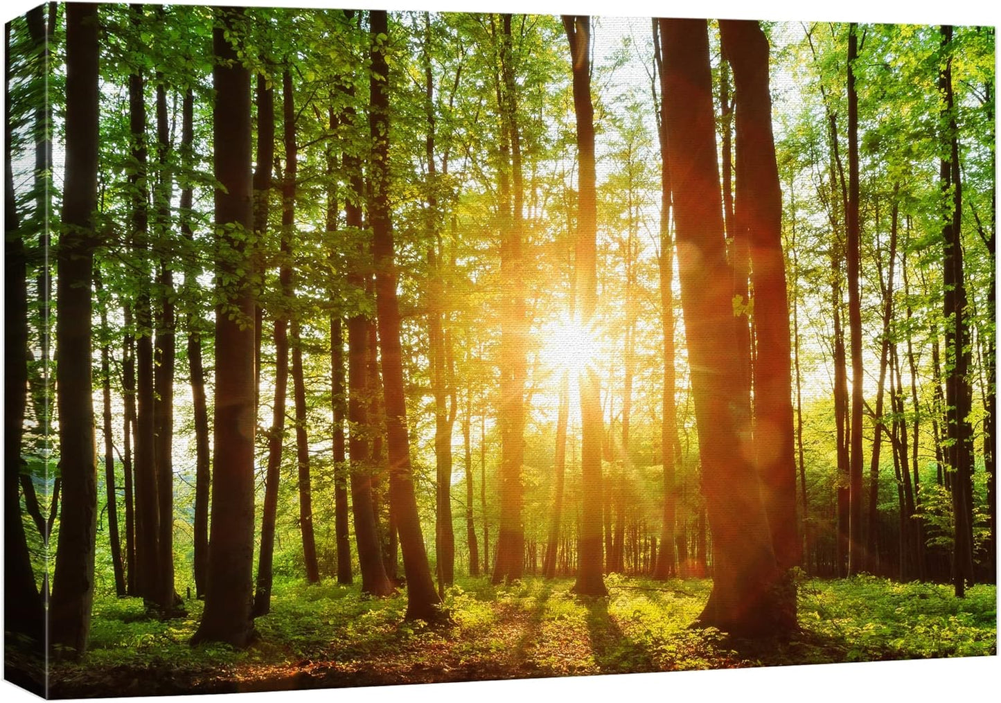 wall26 Canvas Print Wall Art Sunrise Over The Green Forest Nature Wilderness Photography Modern Art Rustic Scenic Colorful Multicolor for Living Room, Bedroom, Office - 32"x48"