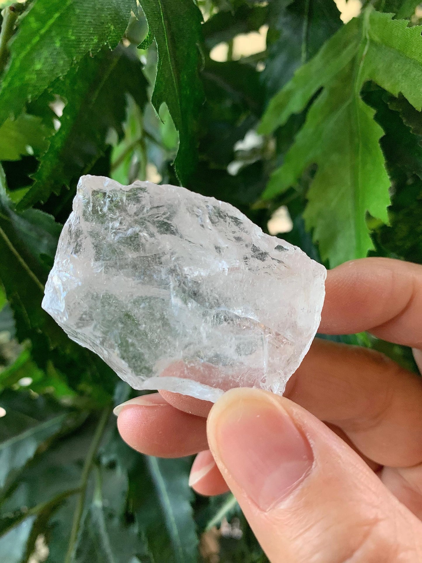 GAF TREASURES Wholesale Raw Clear Quartz Crystals, Natural Clear Quartz Stone, Natural Rough Clear Quartz Crystals, Clear Quartz Rough, Clear Quartz Healing Crystals (Clear Quartz, 0.25 Pound)