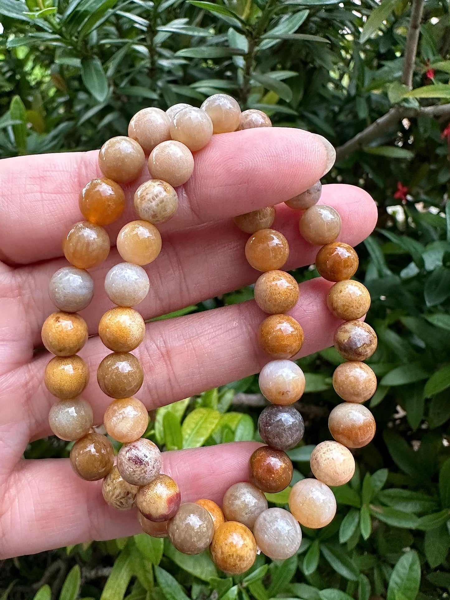 GAF TREASURES Fossil Coral Crystal Bead Bracelet 8mm, Genuine Fossil Coral Stretch Gemstone Bracelet, Healing Crystal Bracelet, Gift for Men & Women (1)
