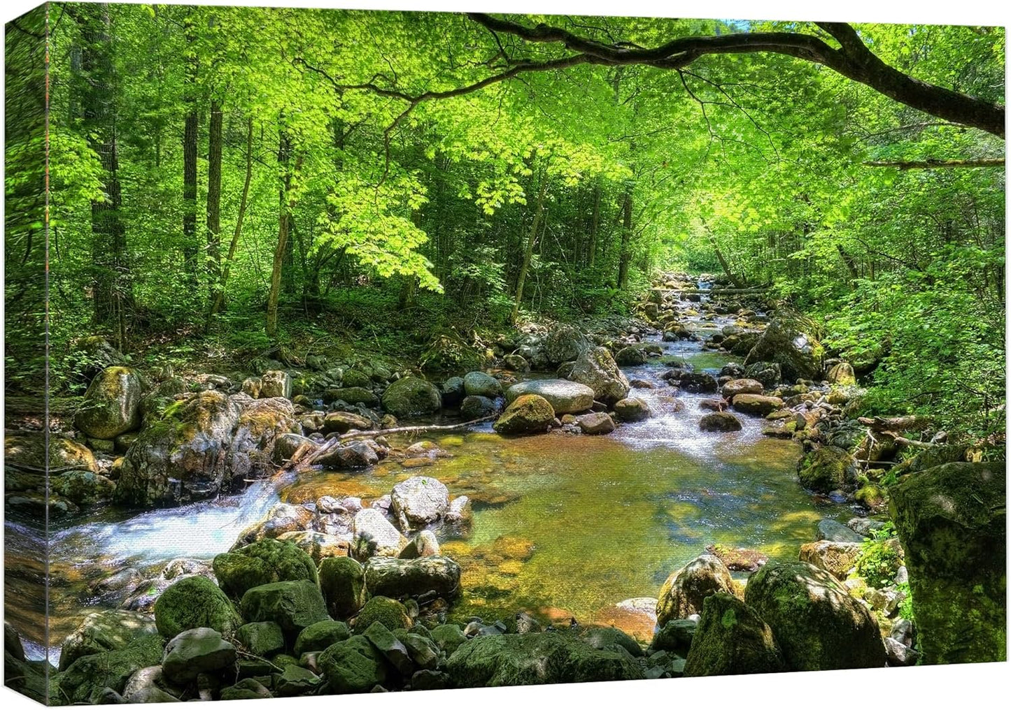 wall26 Canvas Print Wall Art River Through The Green Forest Nature Wilderness Photography Modern Art Rustic Scenic Colorful Multicolor for Living Room, Bedroom, Office - 12"x18"