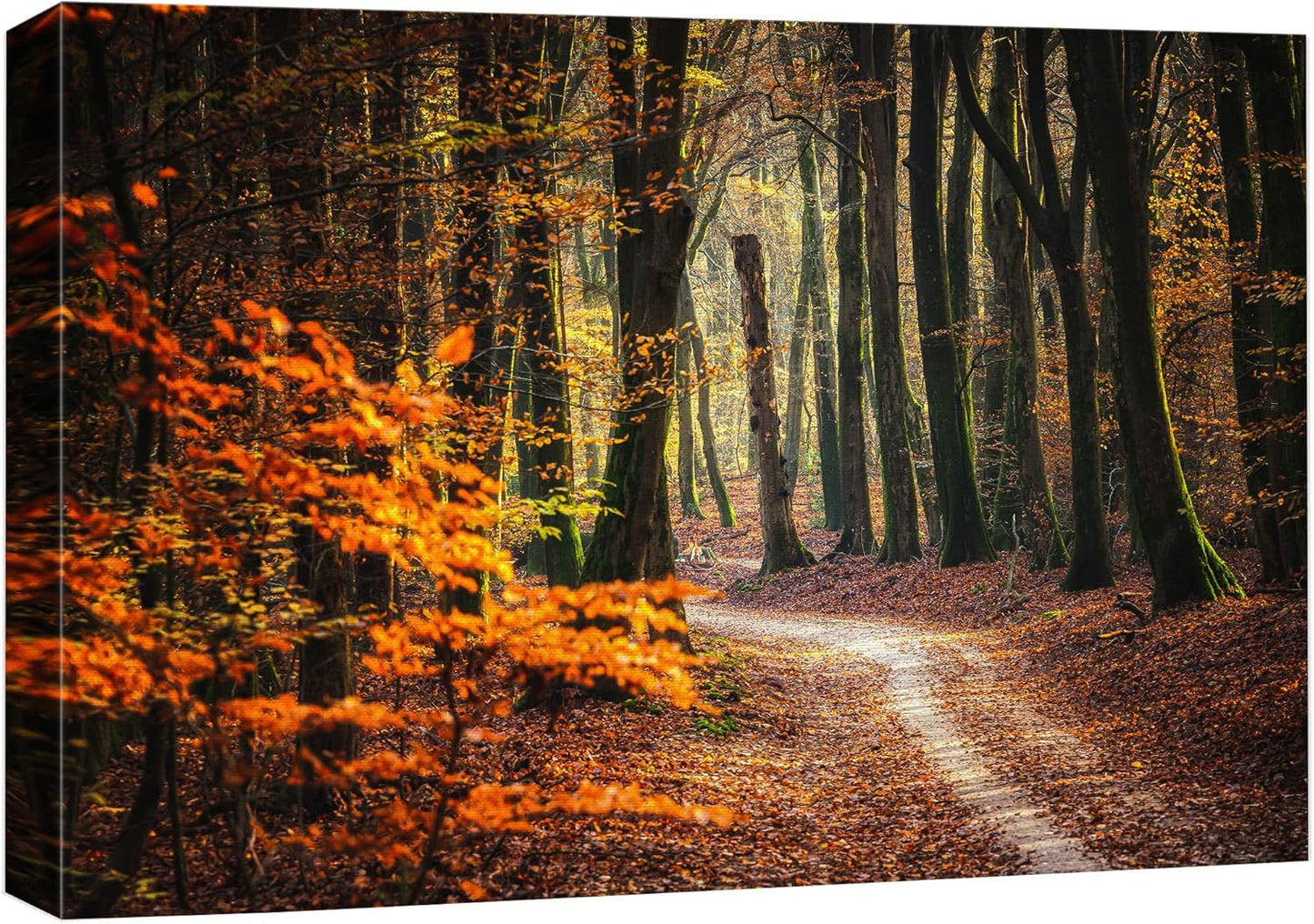 wall26 Canvas Print Wall Art Autumn Fall Orange Leaf Forest Tree Trail Nature Wilderness Photography Realism Earth Scenery Rustic Scenic Landscape Colorful for Living Room, Bedroom, Office - 32"x48"
