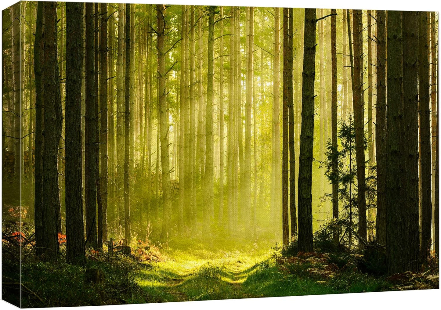 wall26 Canvas Print Wall Art Springtime Summer Sunlight Green Forest Nature Wilderness Photography Realism Earth Scenery Rustic Scenic Landscape Colorful for Living Room, Bedroom, Office - 32"x48"