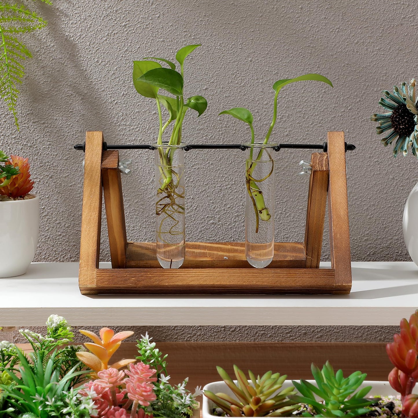 Veemoon Glass Test Tube Vase Propagation Station 5pcs 2.5x3x11cm Hydroponic Plant Terrarium Tubes for Home Decor and Office Display