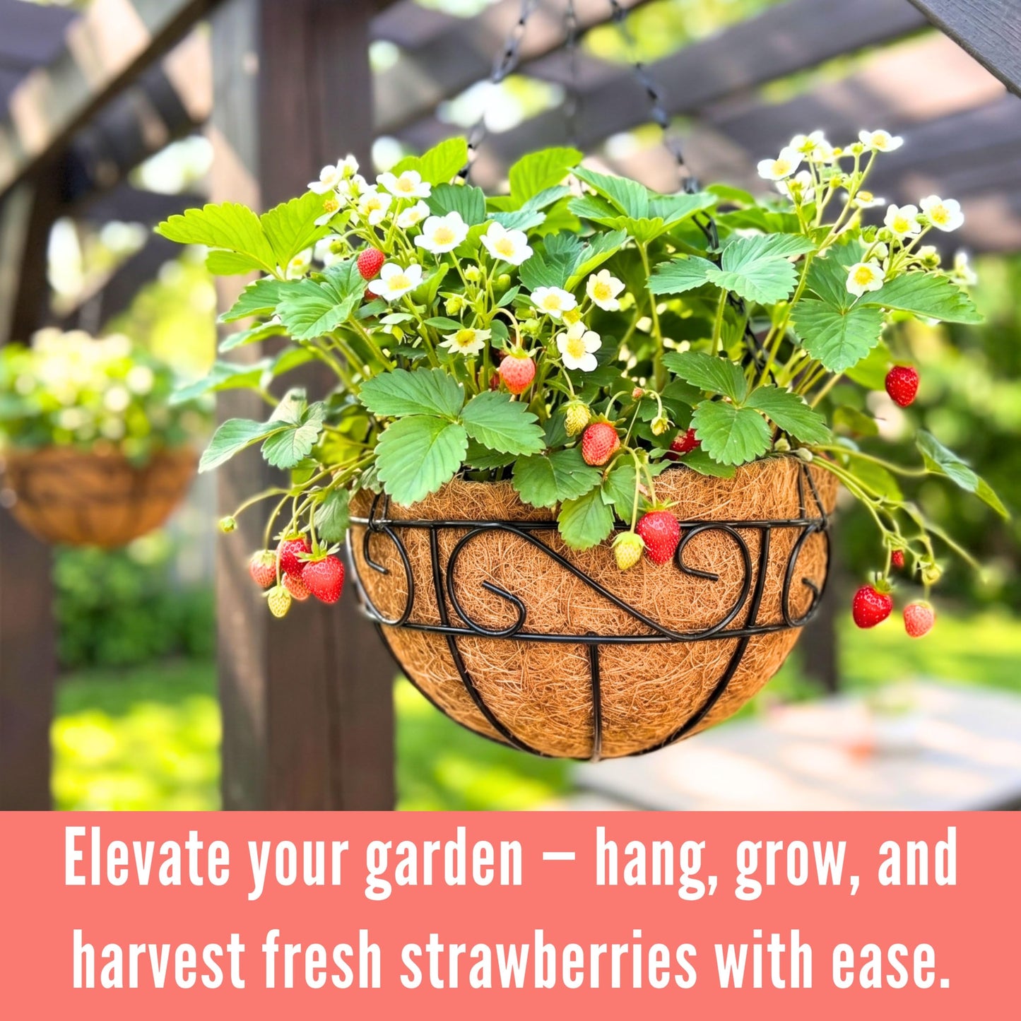 LaLaGreen Hanging Planter for Outdoor Plants (14 Inch, 2 Pack) Black Hanging Baskets with Coco Liner, Metal Wire Flower Basket Pots with Hook Hanger Balcony Porch Farmhouse Country Style Garden Decor