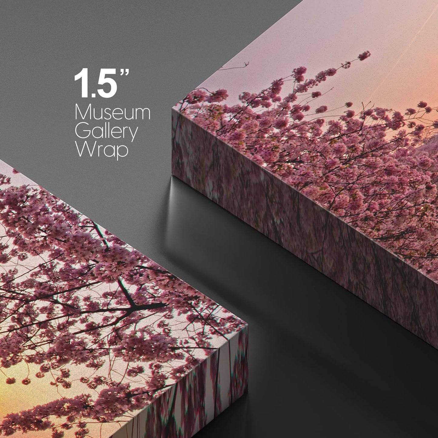 Canvas Prints Wall Art - Cherry Blossom Festival at The National Mall Washington, DC | Modern Wall Decor/Home Art Stretched Gallery Wraps Giclee Print & Wood Framed. Ready to Hang - 24" x 36"
