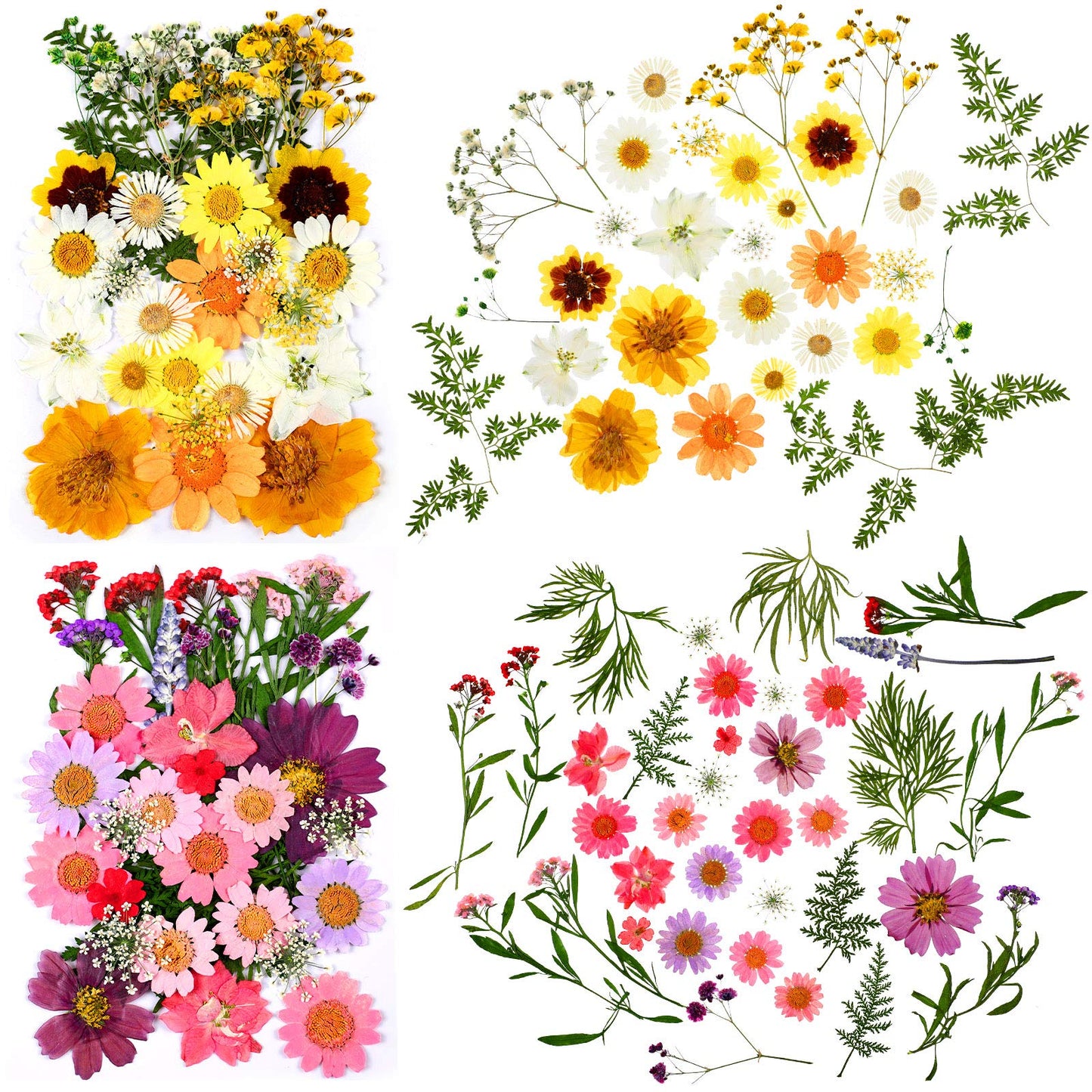 Dried Pressed Flower and Butterfly Transparent Sticker Set, Natural Real Dried Flower Butterfly Scrapbook Decal with Box and Curved Tweezers for DIY Decoration Resin Making (Bright Series)
