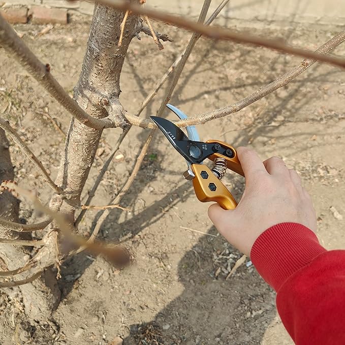 Pruning Shears for Gardening, Garden Scissors and Clippers for arthritis weak, Professional Branch Garden Secateurs (Gold)