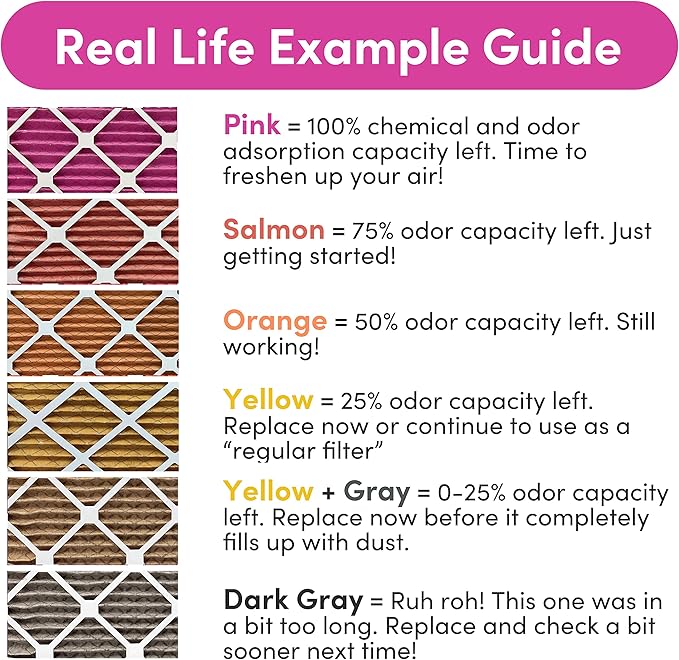 Colorfil 20x30x1 Air Filter (2-Pack) | Made in the USA | Color Changing | Remove Cat and Dog Odor | MERV 8 for Pet Hair Dander and Dust | 19.75"x29.75"x0.75" Exact Size