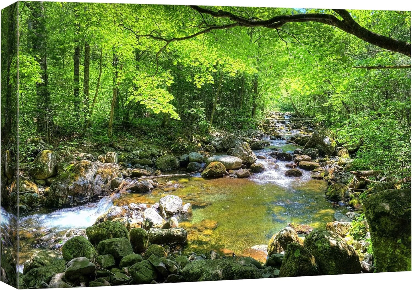 wall26 Canvas Print Wall Art River Through The Green Forest Nature Wilderness Photography Modern Art Rustic Scenic for Living Room, Bedroom, Office - 32"x48"