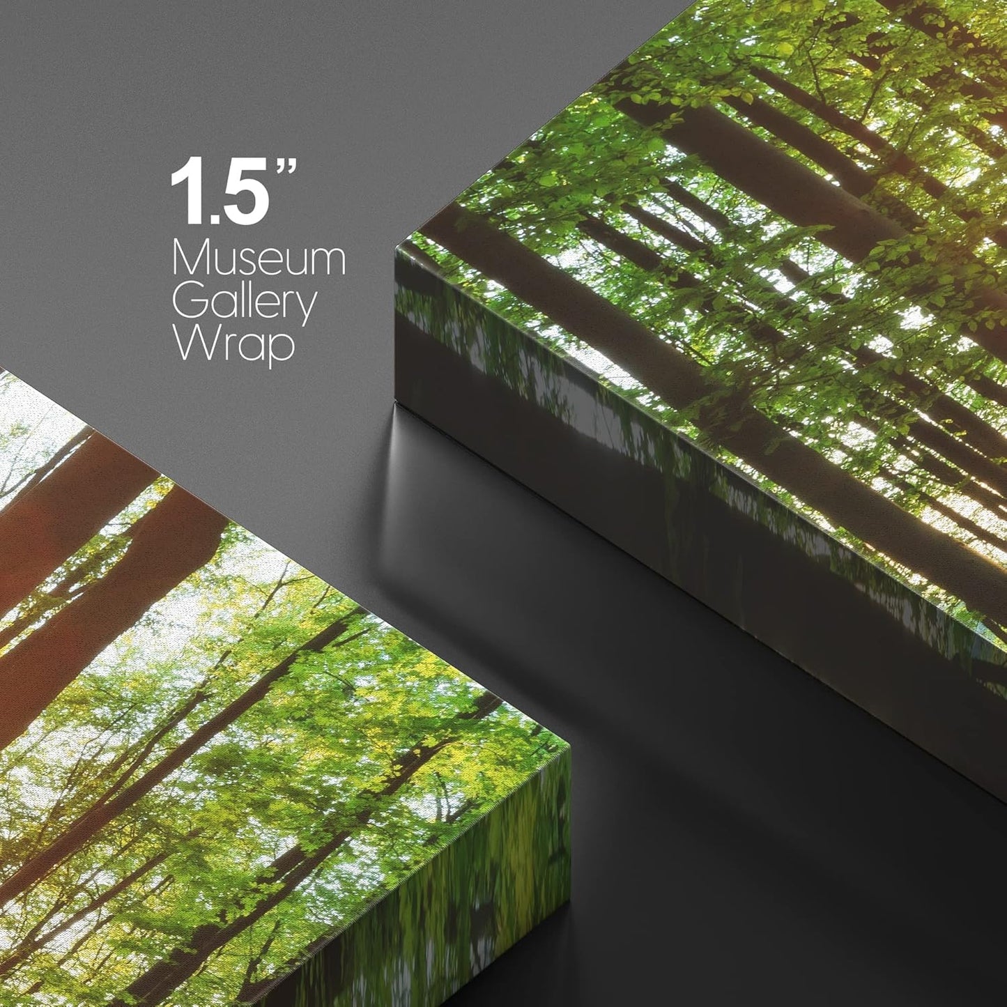 wall26 Canvas Print Wall Art Sunrise Over The Green Forest Nature Wilderness Photography Modern Art Rustic Scenic Colorful for Living Room, Bedroom, Office - 16"x24"