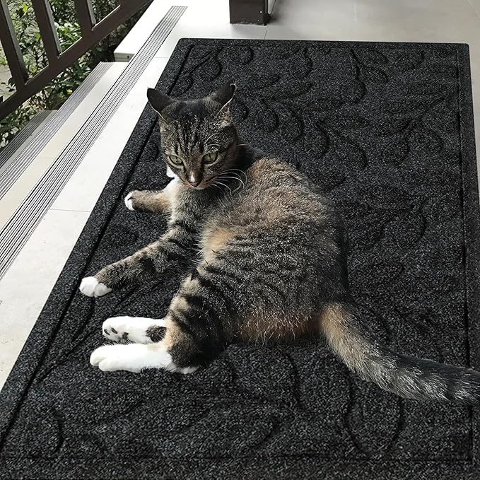 WaterHog Welcome Mat for Indoor/Outdoor, 2’ x 3’, Made in USA, Durable & Water-Resistant, Dirt Trapping Mat, Decorative Front Door and Entryway Rug, Brittney Leaf Design, Charcoal