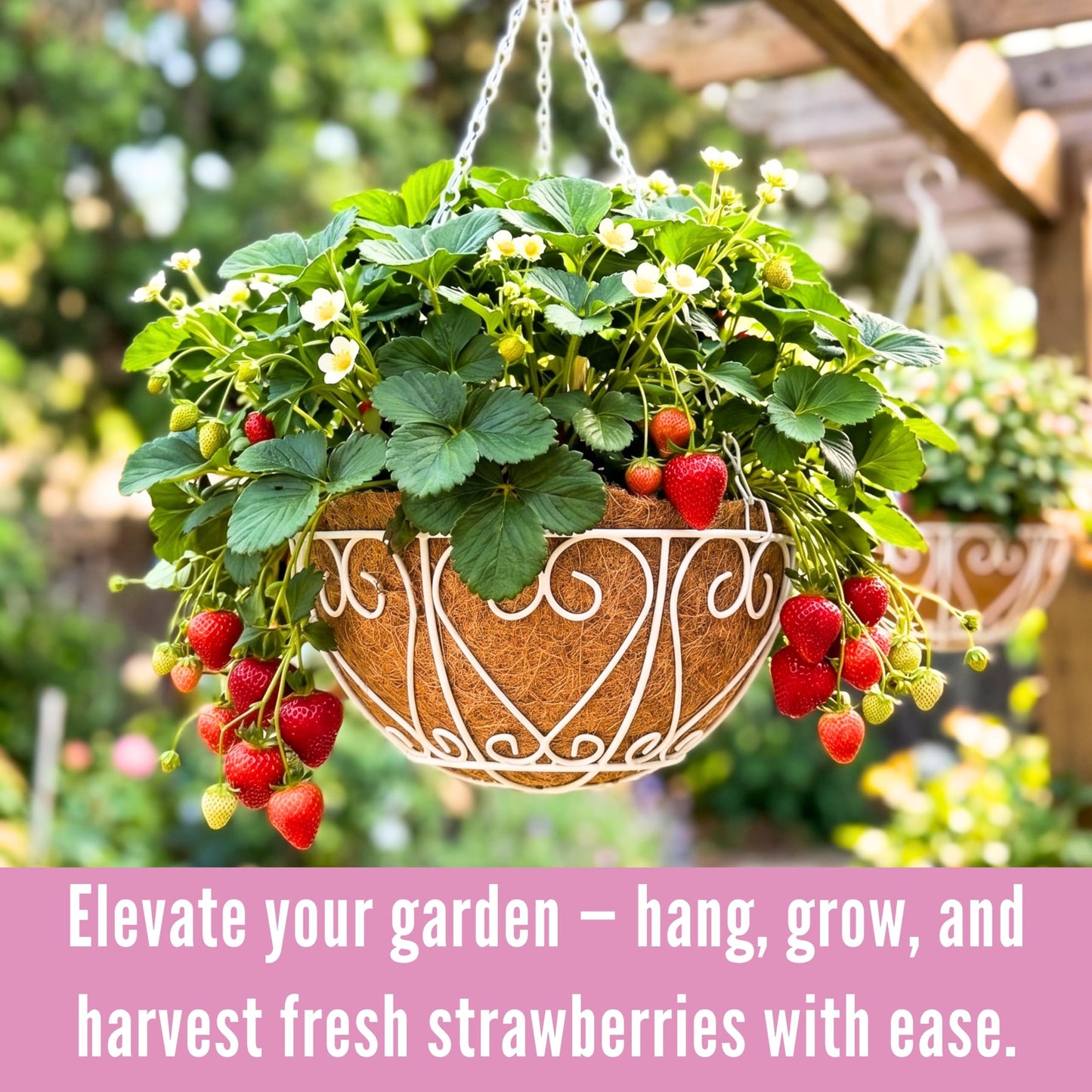LaLaGreen Hanging Baskets for Plants (2 Pack, 10 Inch) Small Hanging Flower Pots with Coco Liner, White Metal Wire Round Plant Holder with Hanger Hook Chain Outdoor Deck Patio Balcony Garden Decor