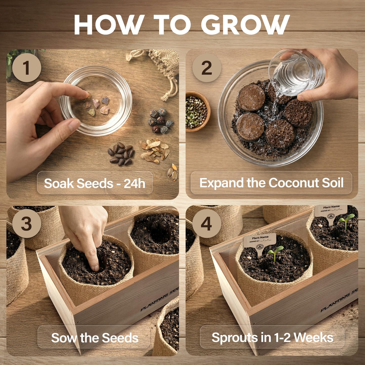 AVERGO Bonsai Tree Kit Deluxe - 5X Unique Japanese Bonzai Trees | Complete Indoor Bonsai Starter Kits from Seeds to Trees – DIY Gardening Gifts for Mother, Women & Men