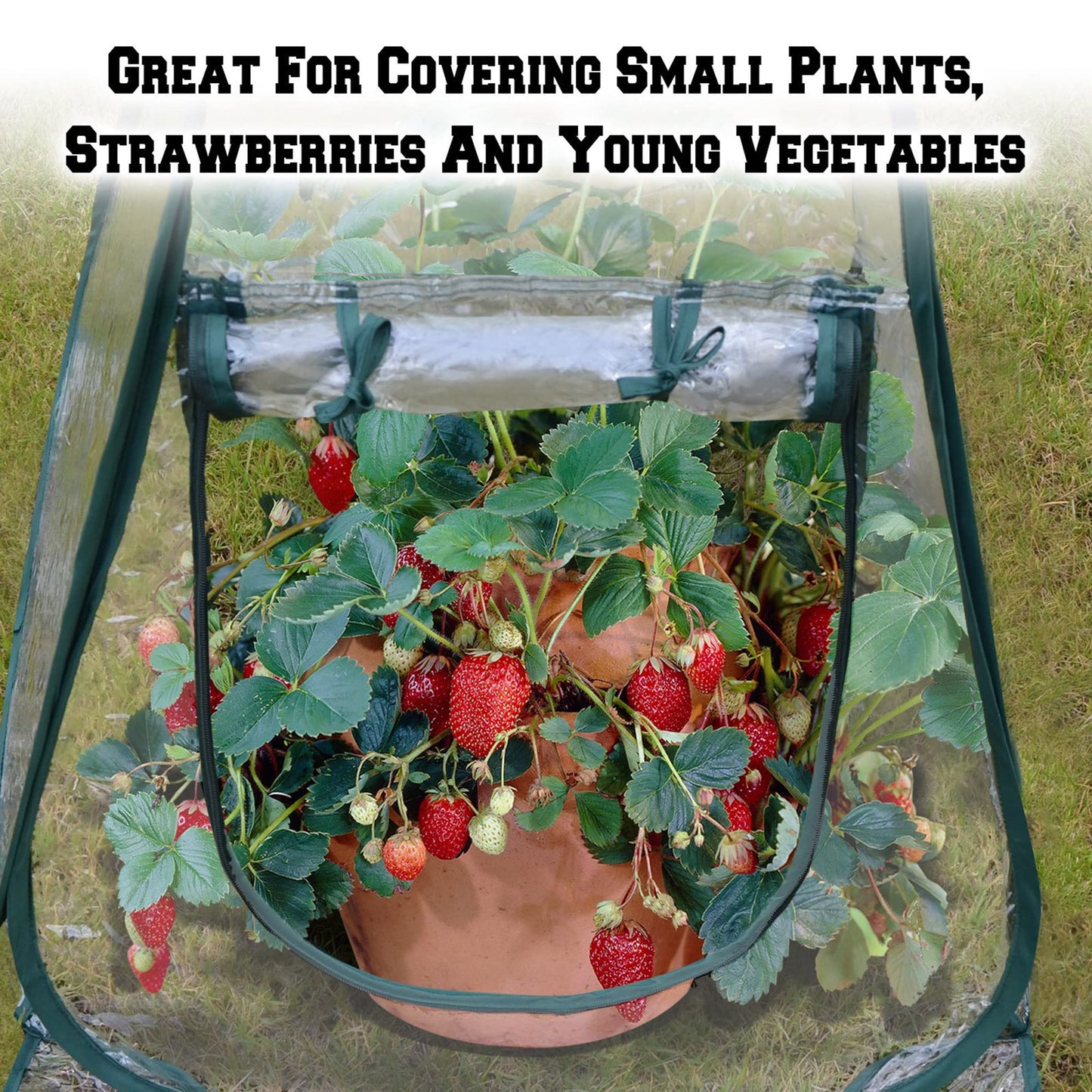 2pcs Quick Set up Mini Greenhouse Portable Small PVC Cover for Garden Flower and Flowerpot Cold Frost Protector Portable Carry Bag with 8 Stakes(PVC(27" L x 27" W x 31" H))