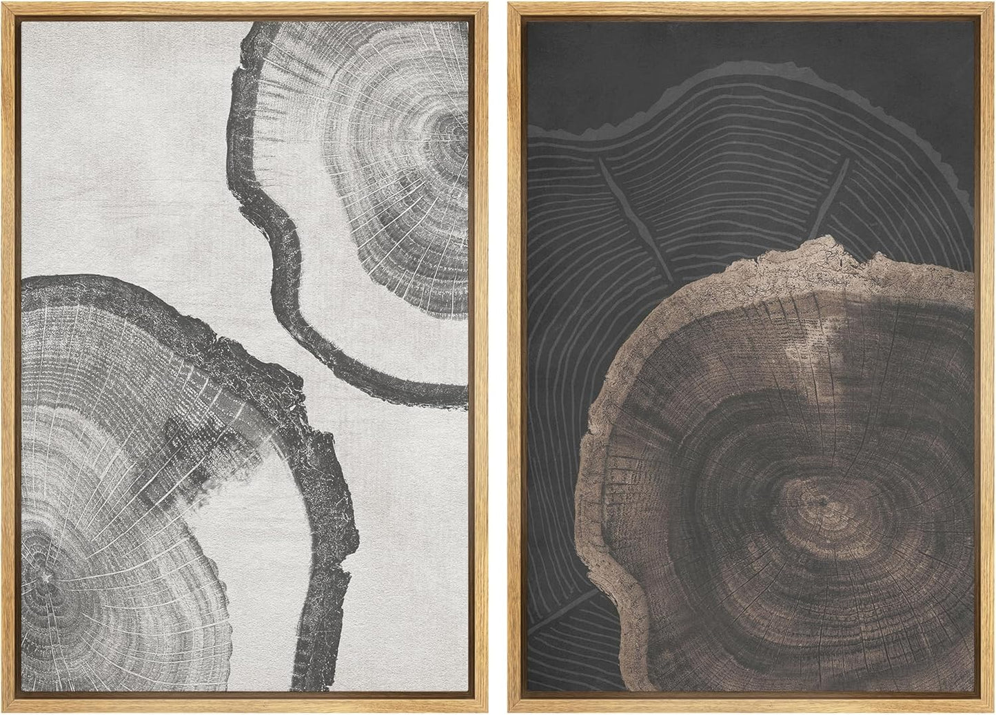 SIGNWIN Framed Canvas Print Wall Art Wood Tree Rings Abstract Illustrations Minimalist Modern Wall Art Neutral Boho Decor for Living Room, Bedroom, Office - 16"x24"x2 Natural