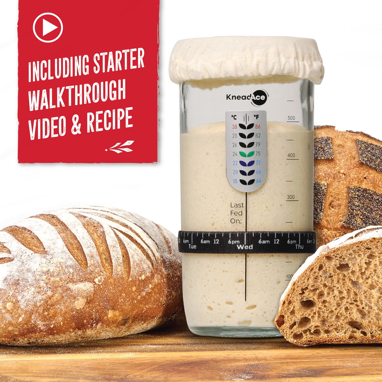 KNEADACE Sourdough Starter Jar With Date Marked Feeding Band, Thermometer, Sourdough Jar Scraper, Sourdough Container Sewn Cloth Cover & Metal Lid, Sourdough Starter Kit (2 Pack)