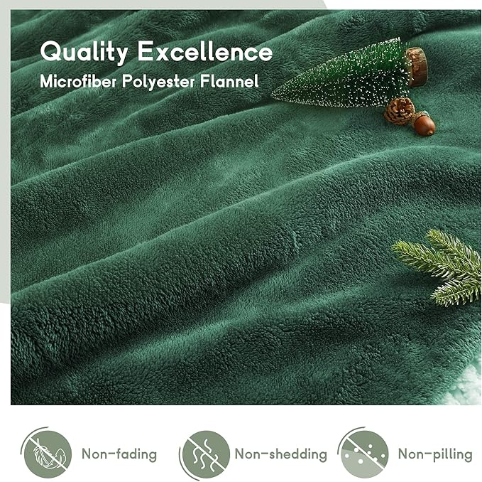 Heated Blanket Electric Blanket Queen Size 84''x90'' with 5 Heating Levels, 10 Hour Auto Shut Off, Machine Washable, Dual Controller Soft Warming Blanket for Couch, Bed, Office - Grass Green