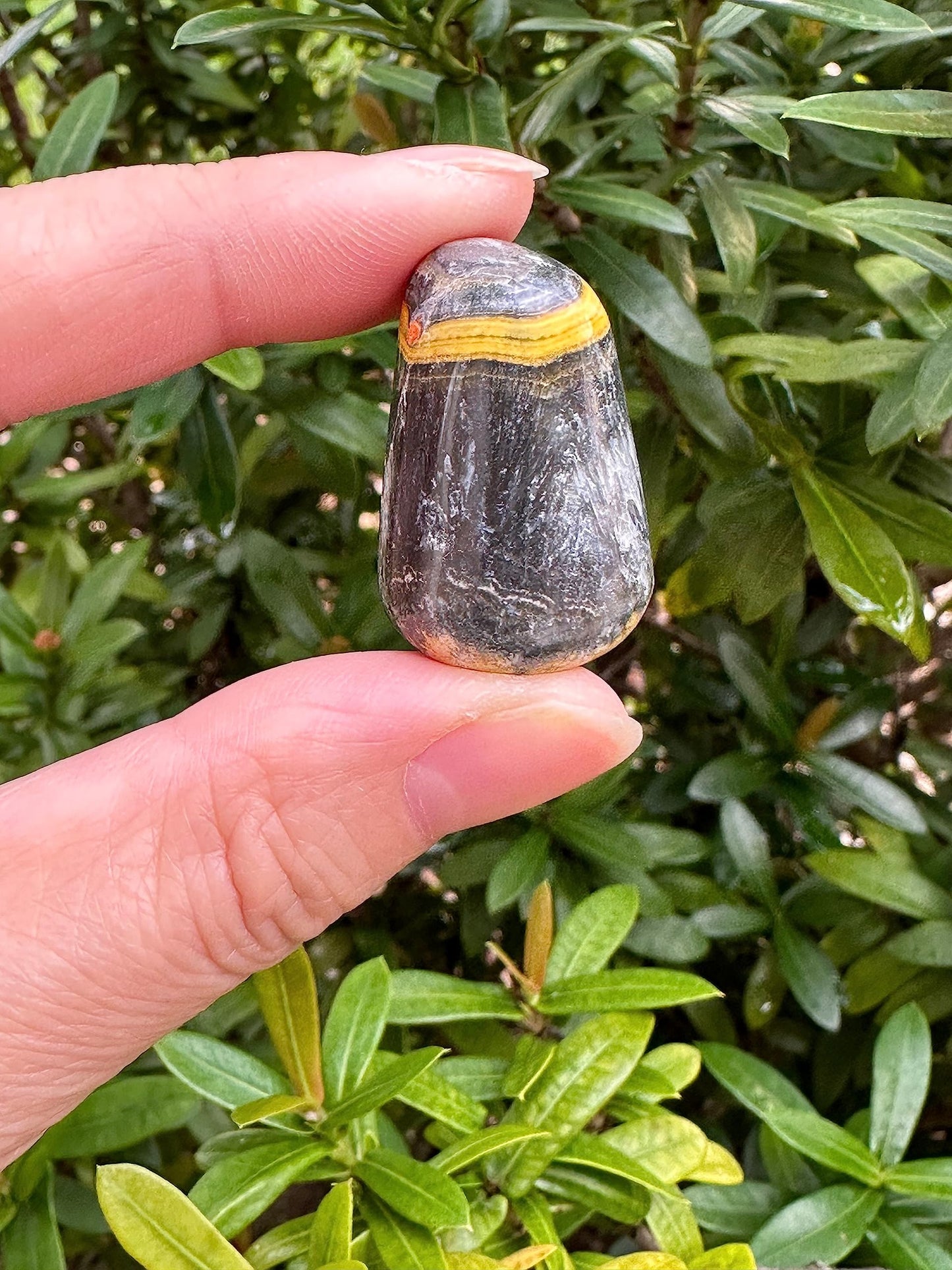GAF TREASURES 5 Pcs Bumble Bee Jasper Tumbled Stones, Polished Bumble Bee Jasper Gemstone, Bumble Bee Jasper Healing Crystals (Bumble Bee Jasper)