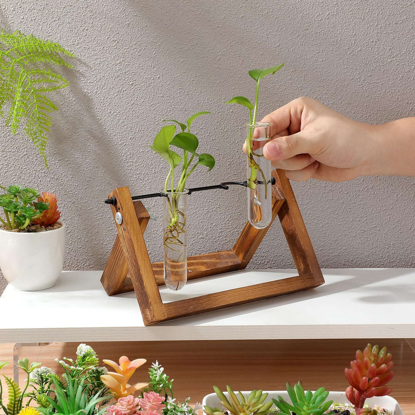 Veemoon Glass Test Tube Vase Propagation Station 5pcs 2.5x3x11cm Hydroponic Plant Terrarium Tubes for Home Decor and Office Display