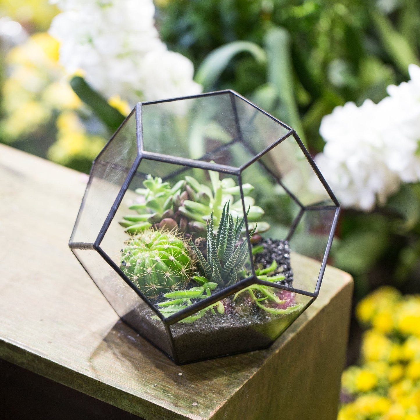 NCYP Small No Door Terrarium Planter - 6.8" x 6.8" x 5.9" Open Geometric Glass Terrarium Pot for Mini Succulents, Small Cactus - Home Tabletop Miniature Decor, Black (No Plants)