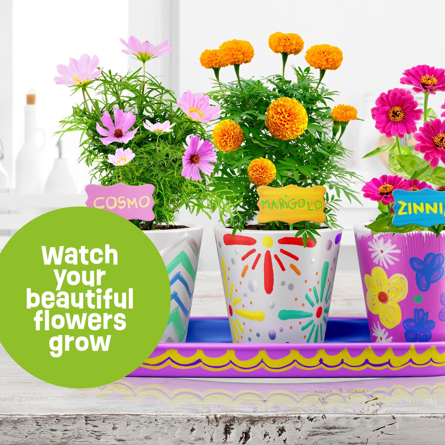 Dan&Darci Paint & Plant Flower Garden Kit for Kids — Stoneware Pots, Seeds & Paint Set — STEM Arts & Crafts Gift for Boys and Girls Ages 6–12