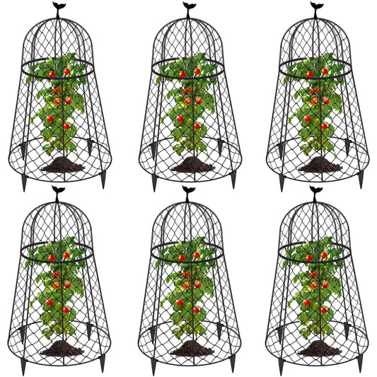TAOMENNI 6 Packs Garden Cloches for Plants, Plant Protectors from Animals, Chicken Wire Cloche, Plant Cloche and Cage, Protection for Your Plants and Seedlings, 13" D x 20" H - Black