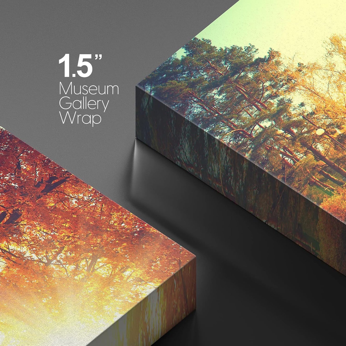 wall26 Canvas Print Wall Art Path Through Red & Orange Autumn Park Nature Wilderness Photography Modern Art Rustic Scenic Colorful Multicolor for Living Room, Bedroom, Office - 32"x48"