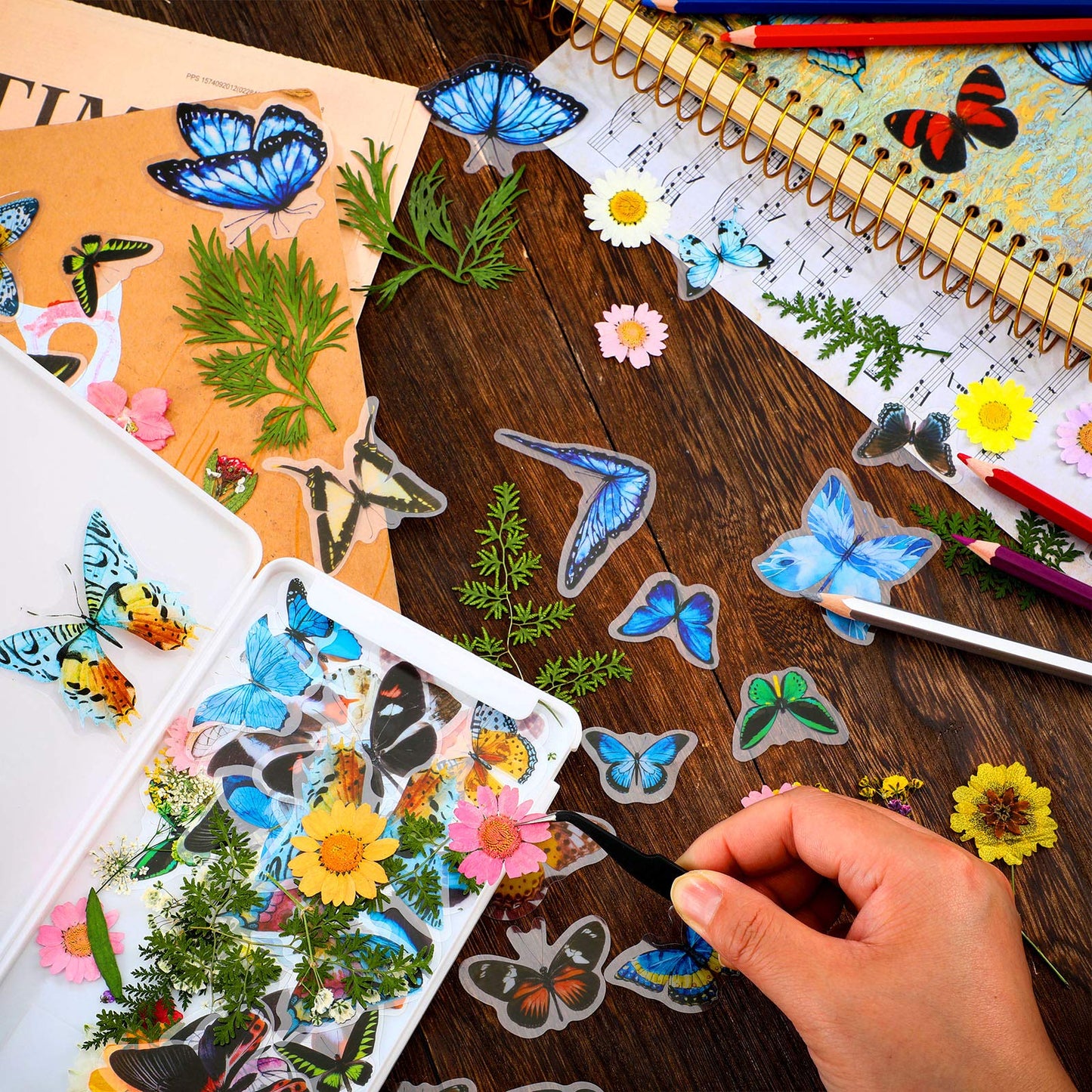 Dried Pressed Flower and Butterfly Transparent Sticker Set, Natural Real Dried Flower Butterfly Scrapbook Decal with Box and Curved Tweezers for DIY Decoration Resin Making (Bright Series)