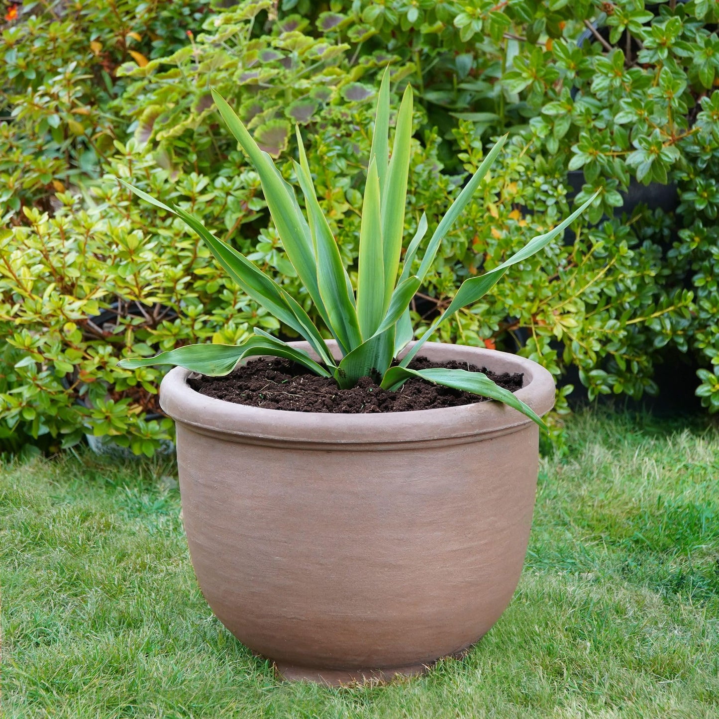 Crescent Garden Agave Planter, Classic Lightweight Resin Planter - UV-Resistant Flower Pots - Indoor & Outdoor Pot for Flowers, Houseplant, Herbs, 21" W x 17" H (Caviar Black)