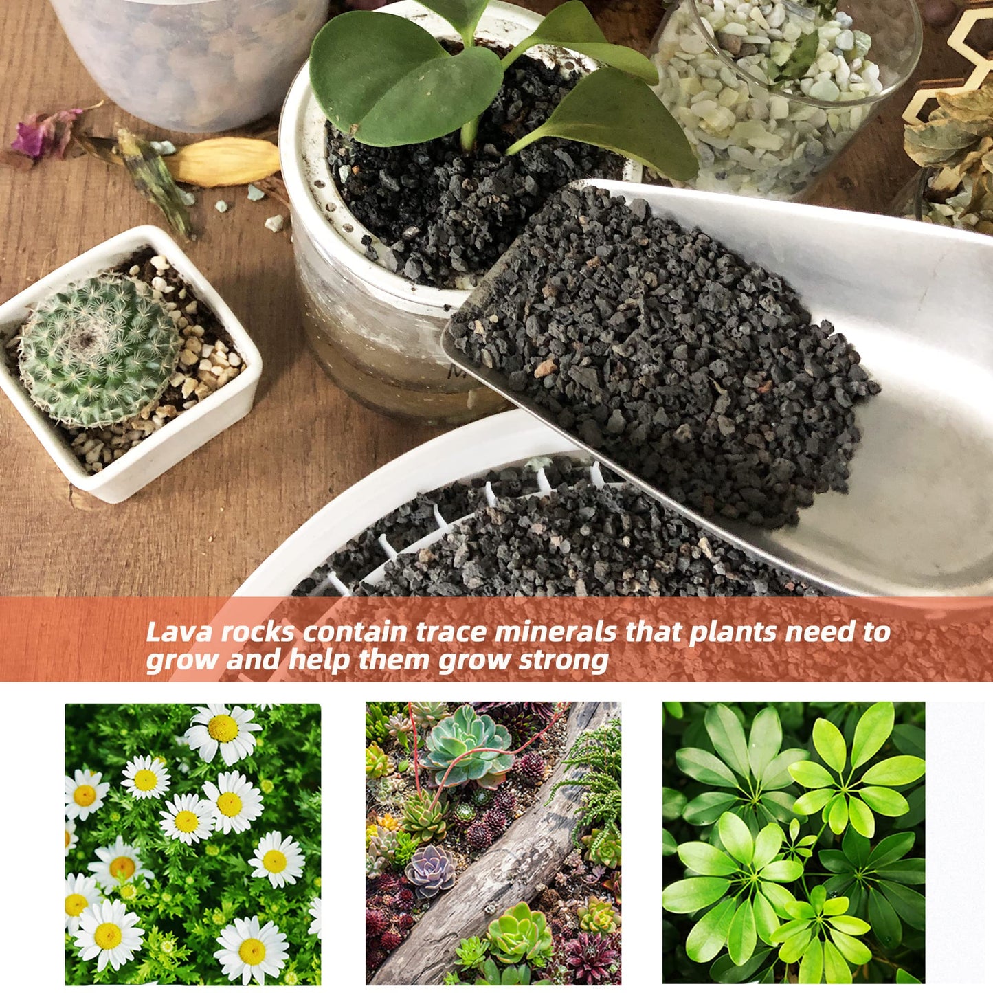7lb Black Lava Rock for Plant, 1/8-1/4 inch Horticultural Volcanic Rock Soil for Decorative Landscaping Bonsai, Cacti, Succulents Plants Top Dressing for Release Excess Water