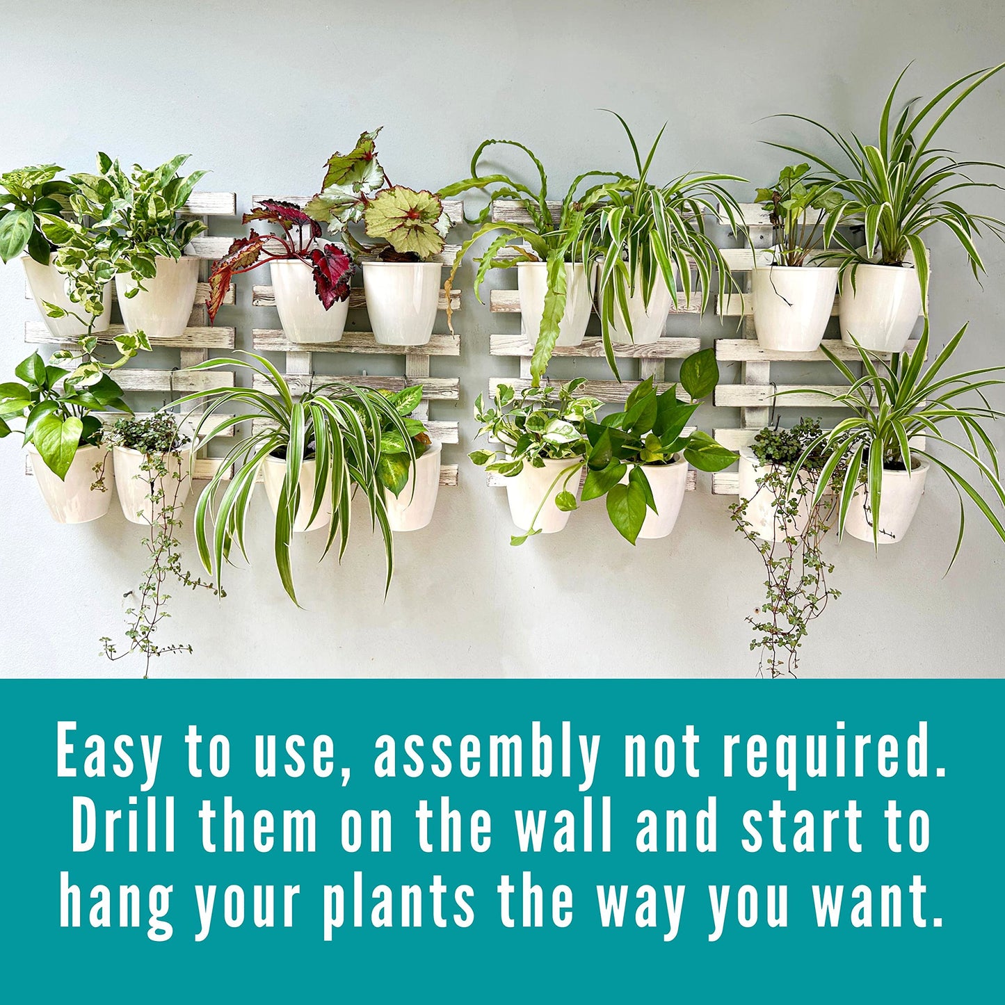 ShopLaLa Bundle- 4" White Self Watering Plastic Pots x 10 Pack + White Wooden Hanging Planters x 2 Pack Vertical Wall Mounted Pot Holder Indoor Plants Modern Hydroponic Herb Succolent Garden LaLaGreen