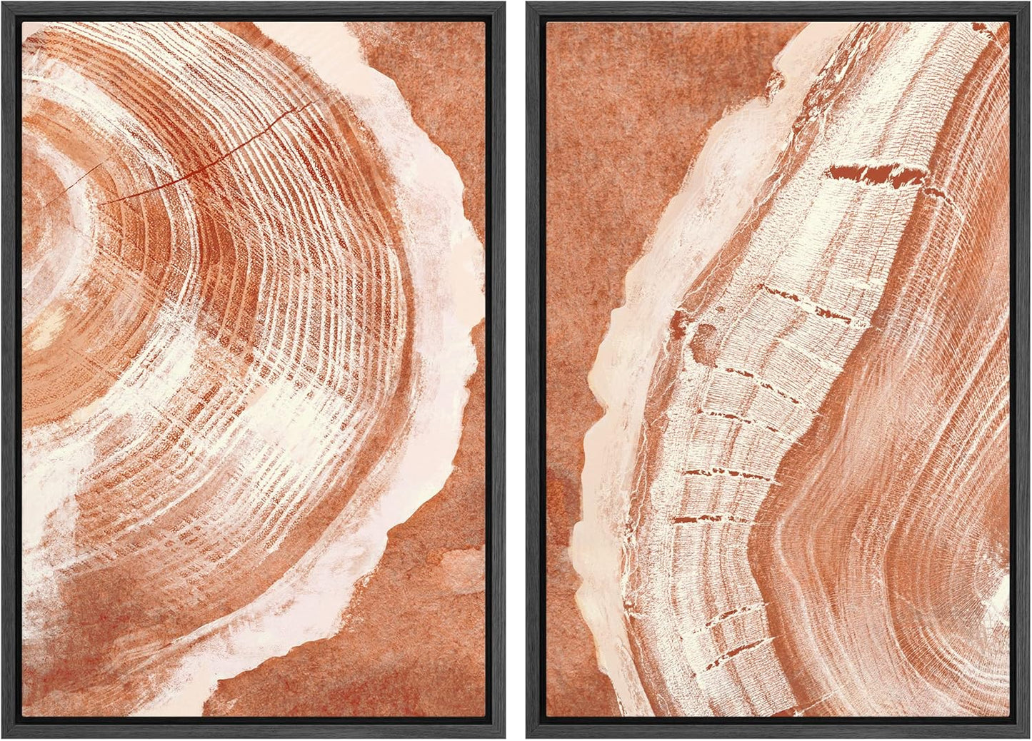 SIGNWIN Framed Canvas Print Wall Art Set Orange Closeup Wood Tree Ring Details Nature Wilderness Illustrations Modern Art Rustic Colorful Ultra for Living Room, Bedroom, Office - 24"x36"x2 Black