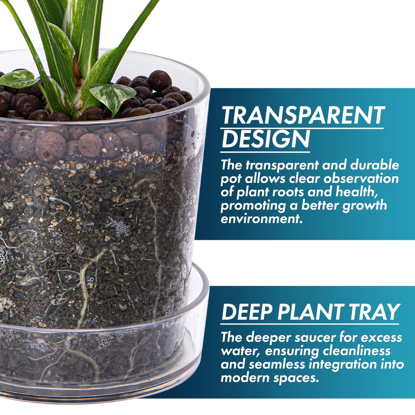 Phoenix Vine 6.5 Inch Clear Acrylic Planter Pot with Tray, Orchid Pot with Drainage Holes, Deep Saucer for Bottom Watering, Transparent Containers for Indoor Plants, Herbs, Set of 1, 91-A-F-1