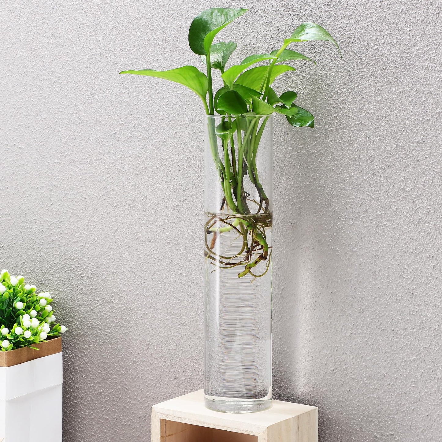SILENRADAWN Cylinder Glass Wall Vase Set 2pcs Hanging Hydroponic Flower Tube Vases for Indoor Plants Wall-Mounted Plant Holders Decorative Terrarium Containers for Home and Office