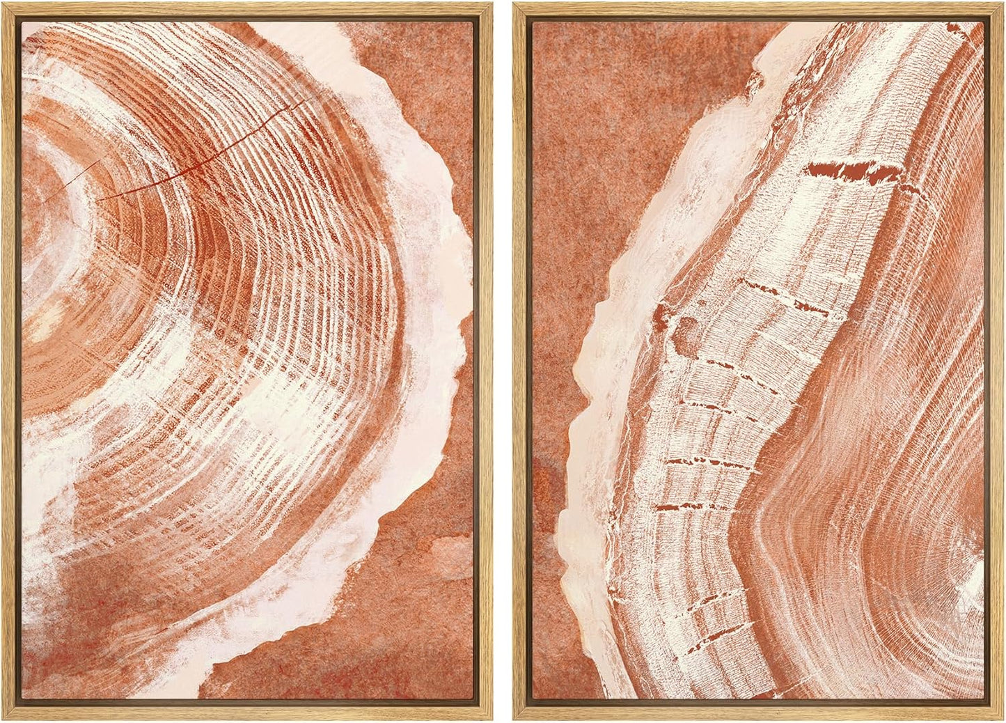 SIGNWIN Framed Canvas Print Wall Art Set Orange Closeup Wood Tree Ring Details Nature Wilderness Illustrations Modern Art Rustic Colorful Ultra for Living Room, Bedroom, Office - 16"x24"x2 Natural