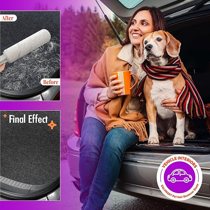 Pumice Stone Toilet Bowl Cleaner with Handle Hard Water Stain Remover for Household Cleaning, Pet Hair Remover Pumice Stone Cat Dog Fur Removal Tool, White 1 Pack