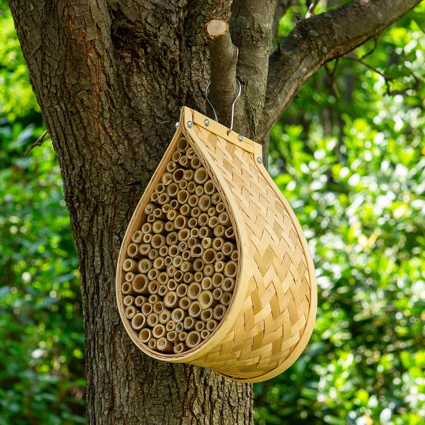 Made Easy Kit Mason Bee - House Insect Home and Hive Cultivate Pollinator - Bees to Improve Garden / Backyard