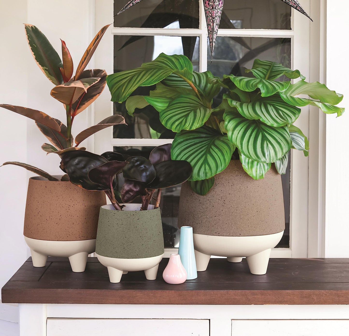 The HC Companies 6 Inch Orion Self Watering Planter - Lightweight Indoor Plastic Plant Pot for Herbs and Flowers, Muted Clay