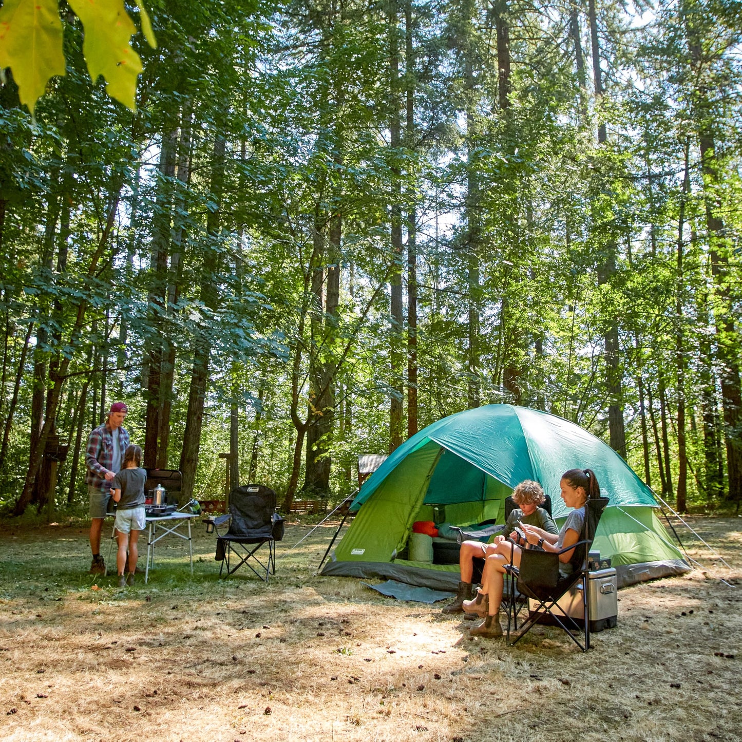 Coleman Sundome Camping Tent with Rainfly, 2/3/4/6 Person Tent Sets Up in 10 Mins, Weatherproof Shelter for Camping, Festivals, Backyard, Sleepovers, & More