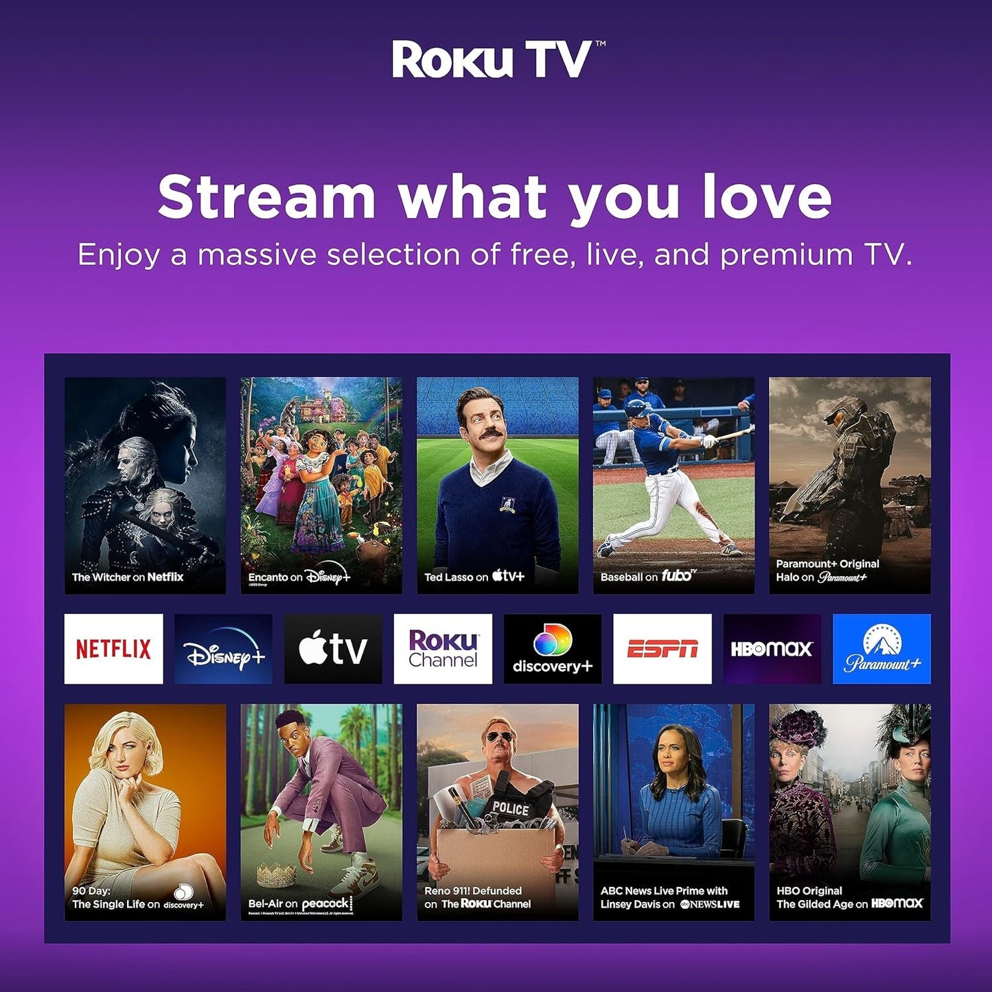 65-Inch Class R6 Series 4K UHD Smart Roku TV with Alexa Compatibility, Dolby Vision HDR, DTS Studio Sound, Game Mode (65R6G),Black